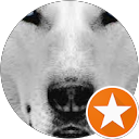 Mélanie LPZ profile picture